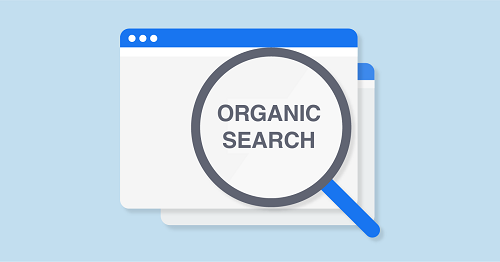 How Google Organic Search Works